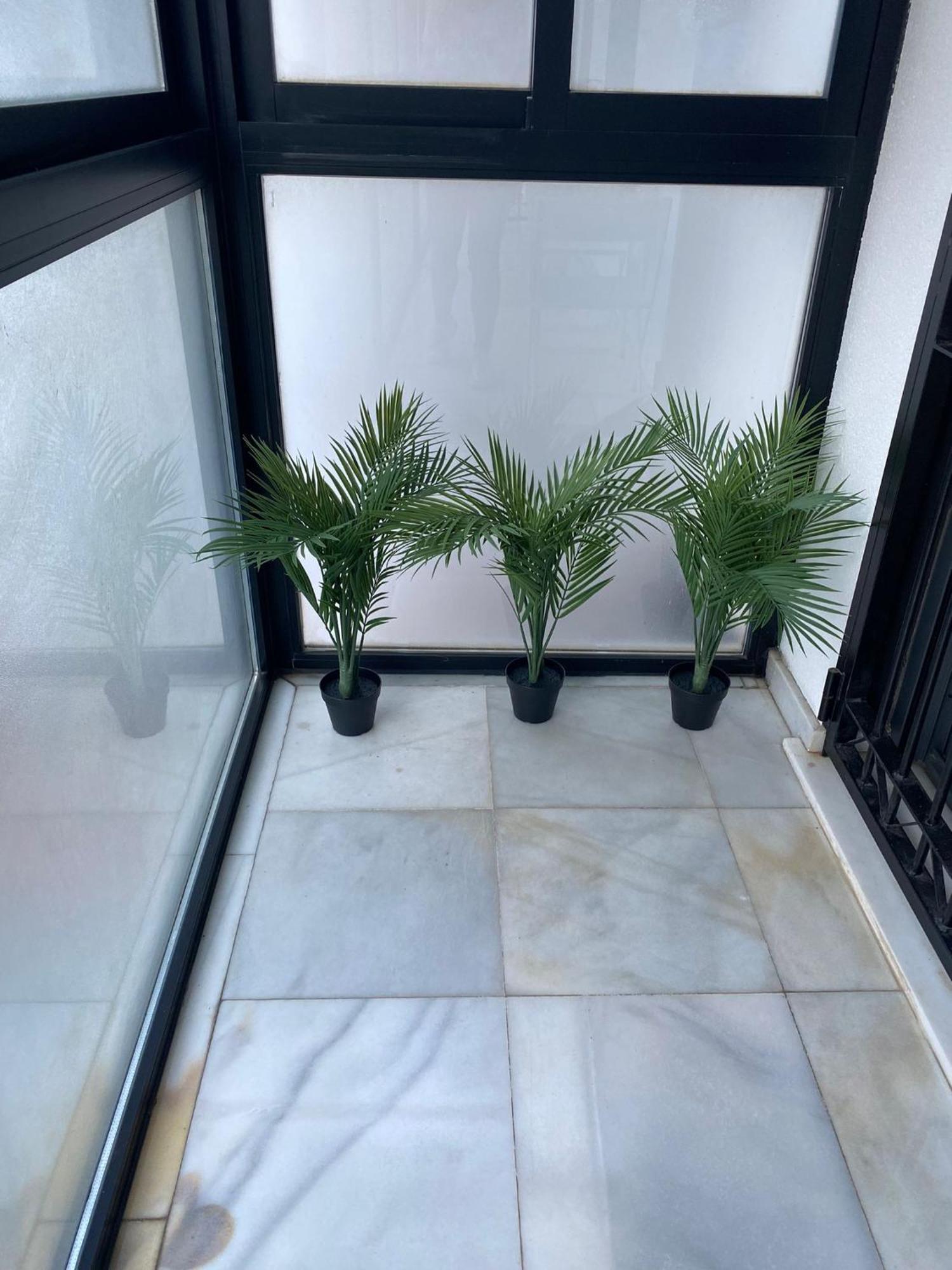 Apartamento Carvajal Beach Fuengirola Rum bild